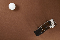 Tradition Tradition 215 фото 2 | FLOORDEALER